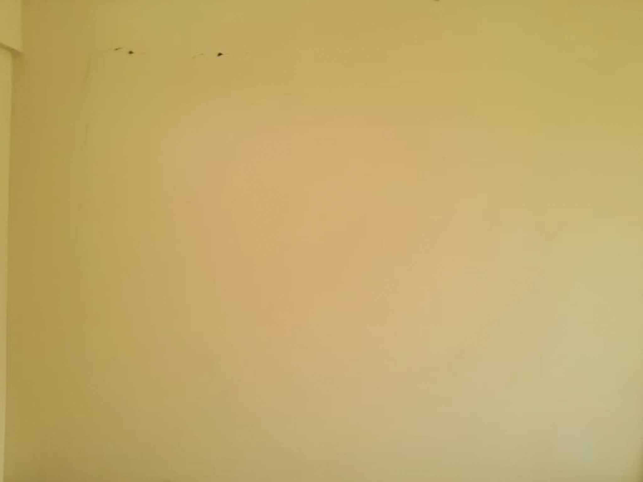 Flat for Sale in MENAMKULAM KAZHAKUTTAM, Thiruvananthapuram — photo 35