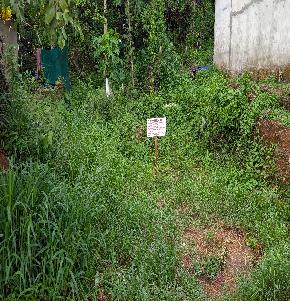 Plot for Sale in NEAR MANARCADU,KOTTAYAM, Puthuppally — photo 1