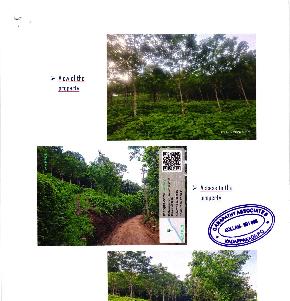 VACCANT LAND for Sale in PATHANAPURAM — photo 1