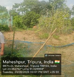 residential plot of land at Maheshpur, Dist - Sepahijala, Tripura 799181 for Sale in Maheshpur, Sonamura — photo 1