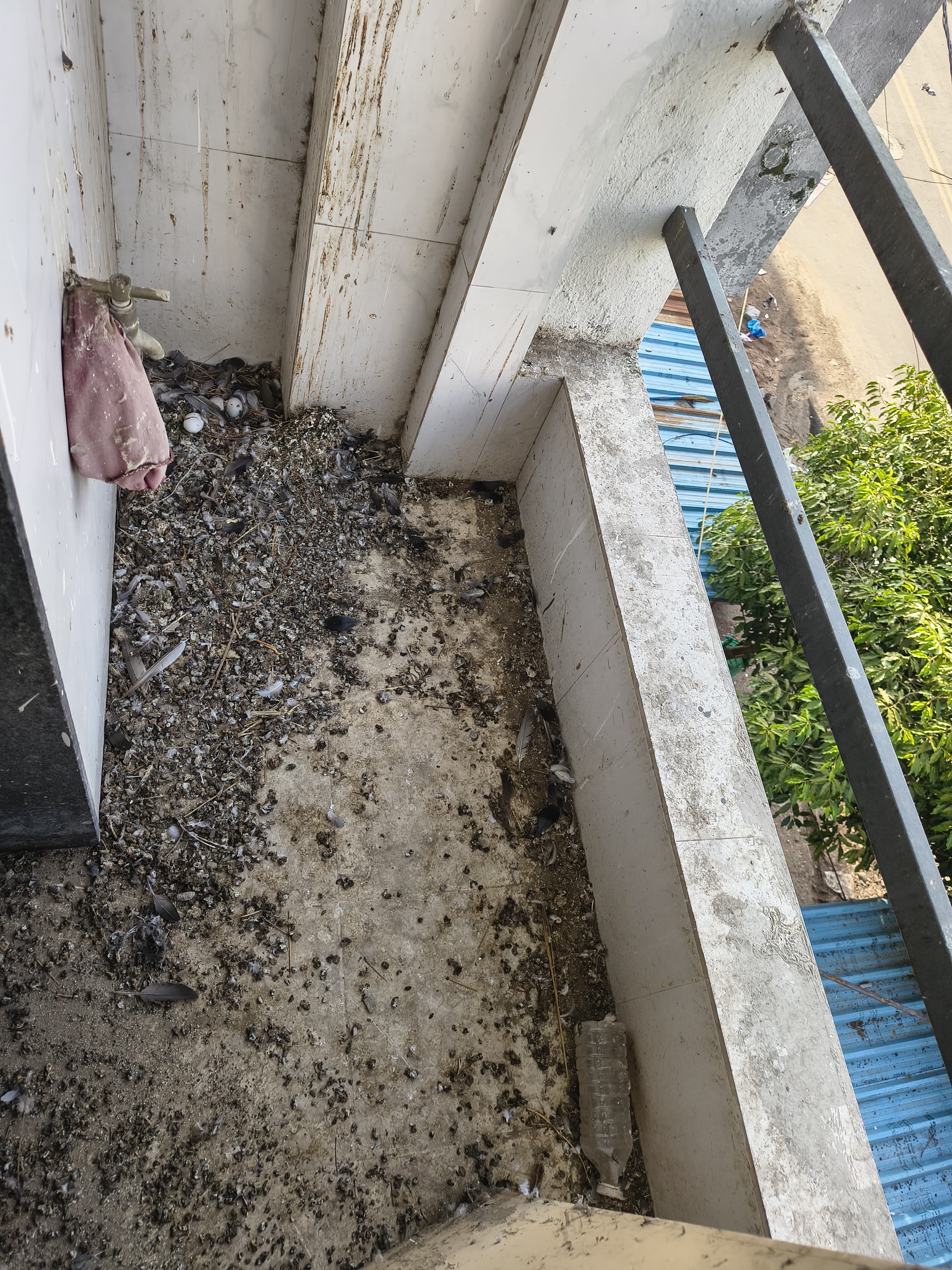 Flat for Sale in KOTHARIYA ROAD, RAJKOT, Kothariya — photo 7