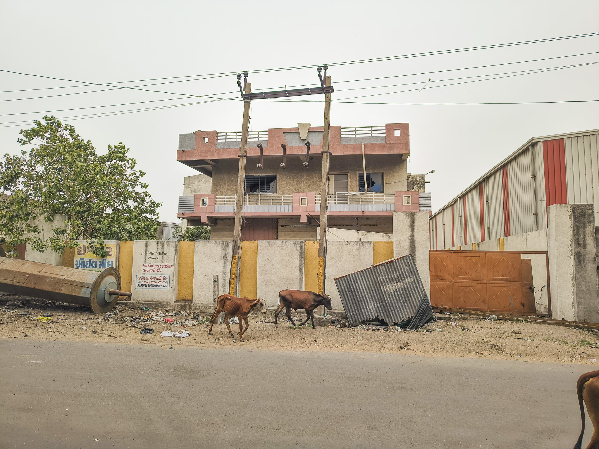 Industrial Shed for Sale in JAMWADI GIDC-II TAL GONDAL, Gondal — photo 10