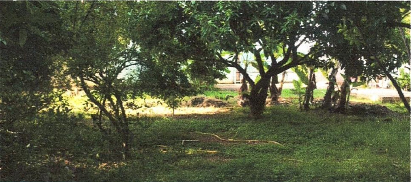 Industrial Plot for Sale in Hoskote — photo 1