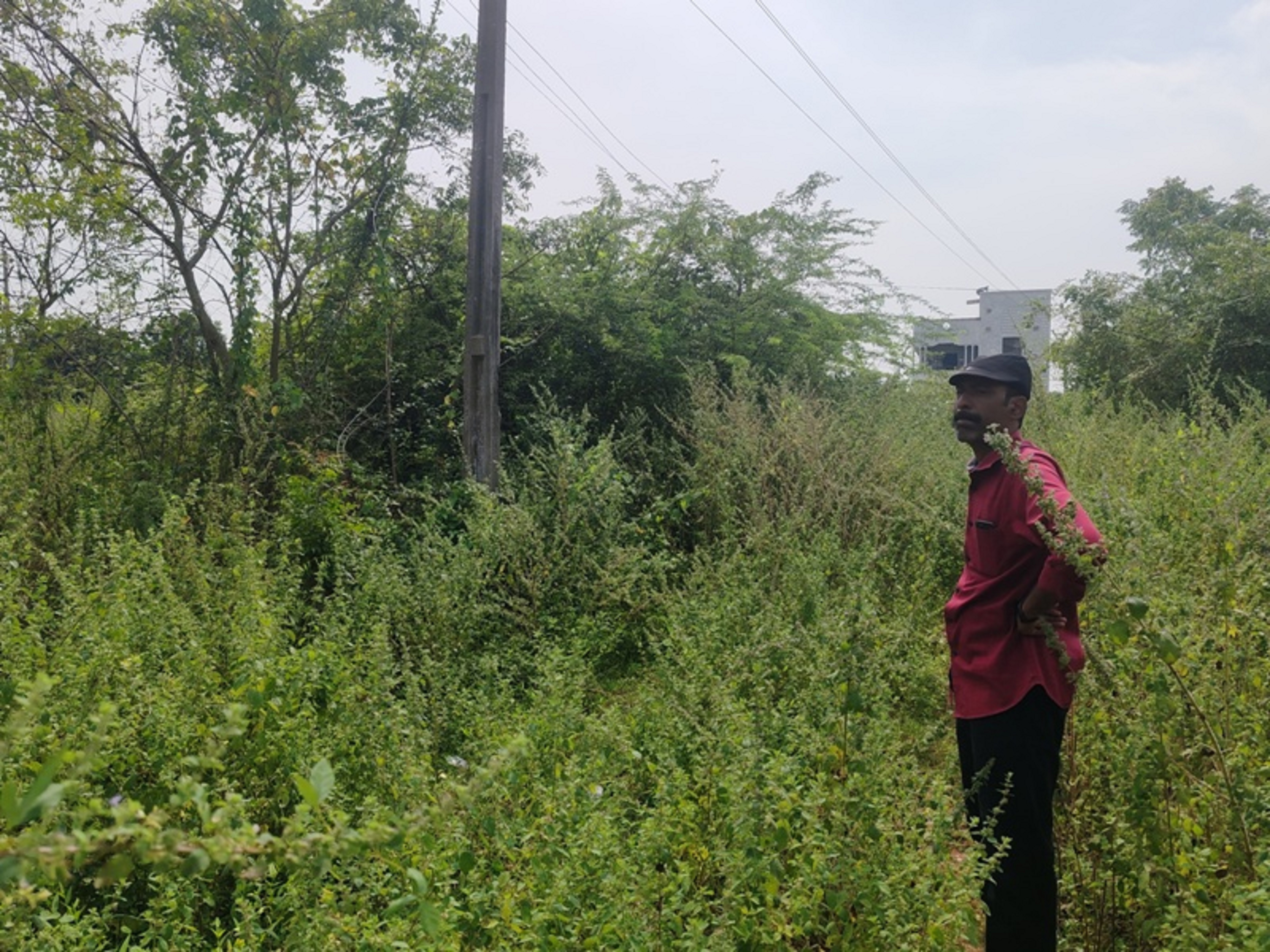 Plot for Sale in Nuzvid — photo 1