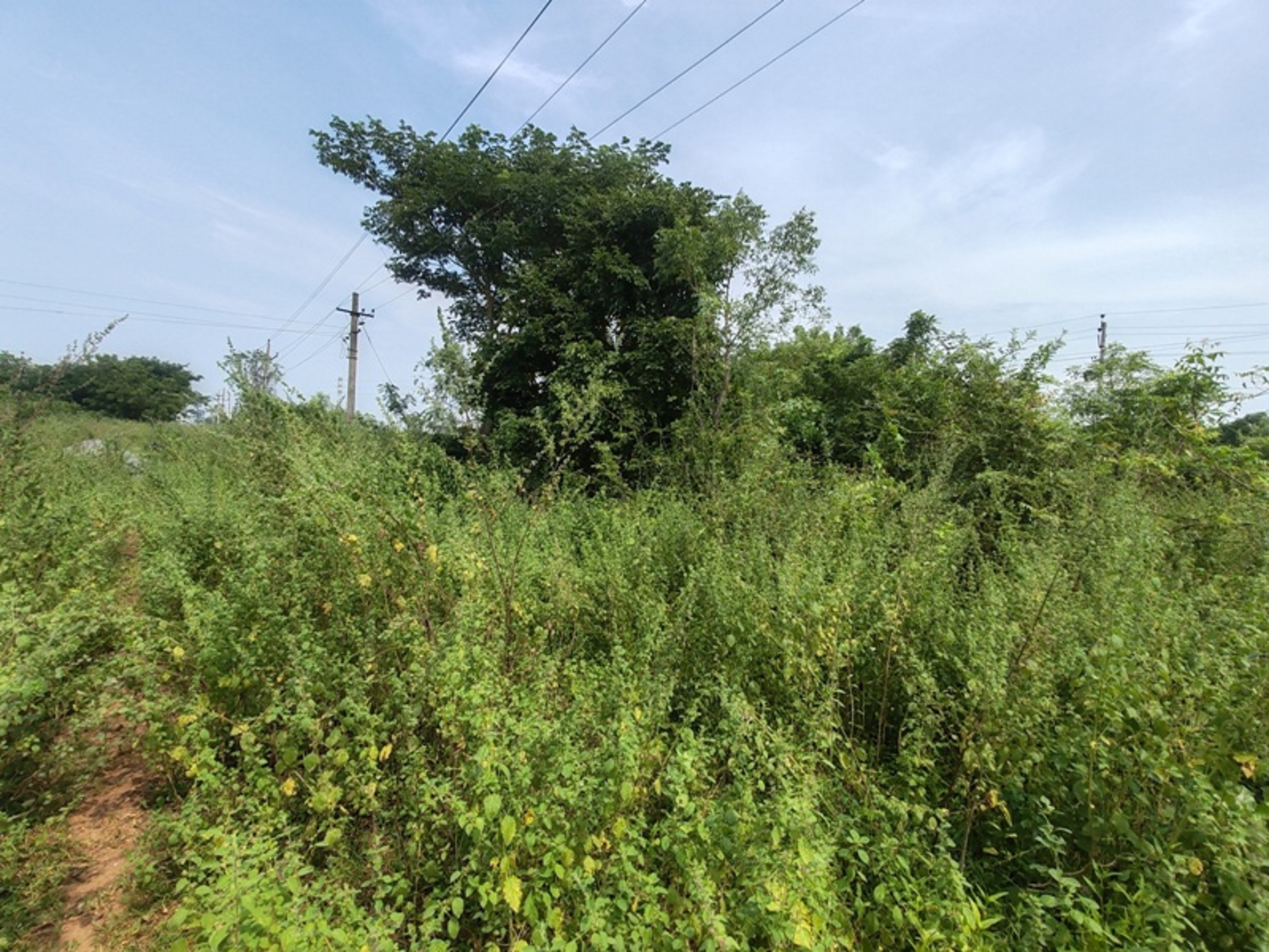 Plot for Sale in Nuzvid — photo 2