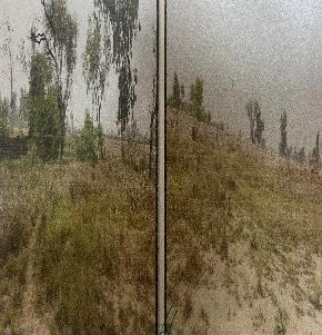 Plot for Sale in Guruharsahai, Distt Ferozpur, Ferozepur — photo 1