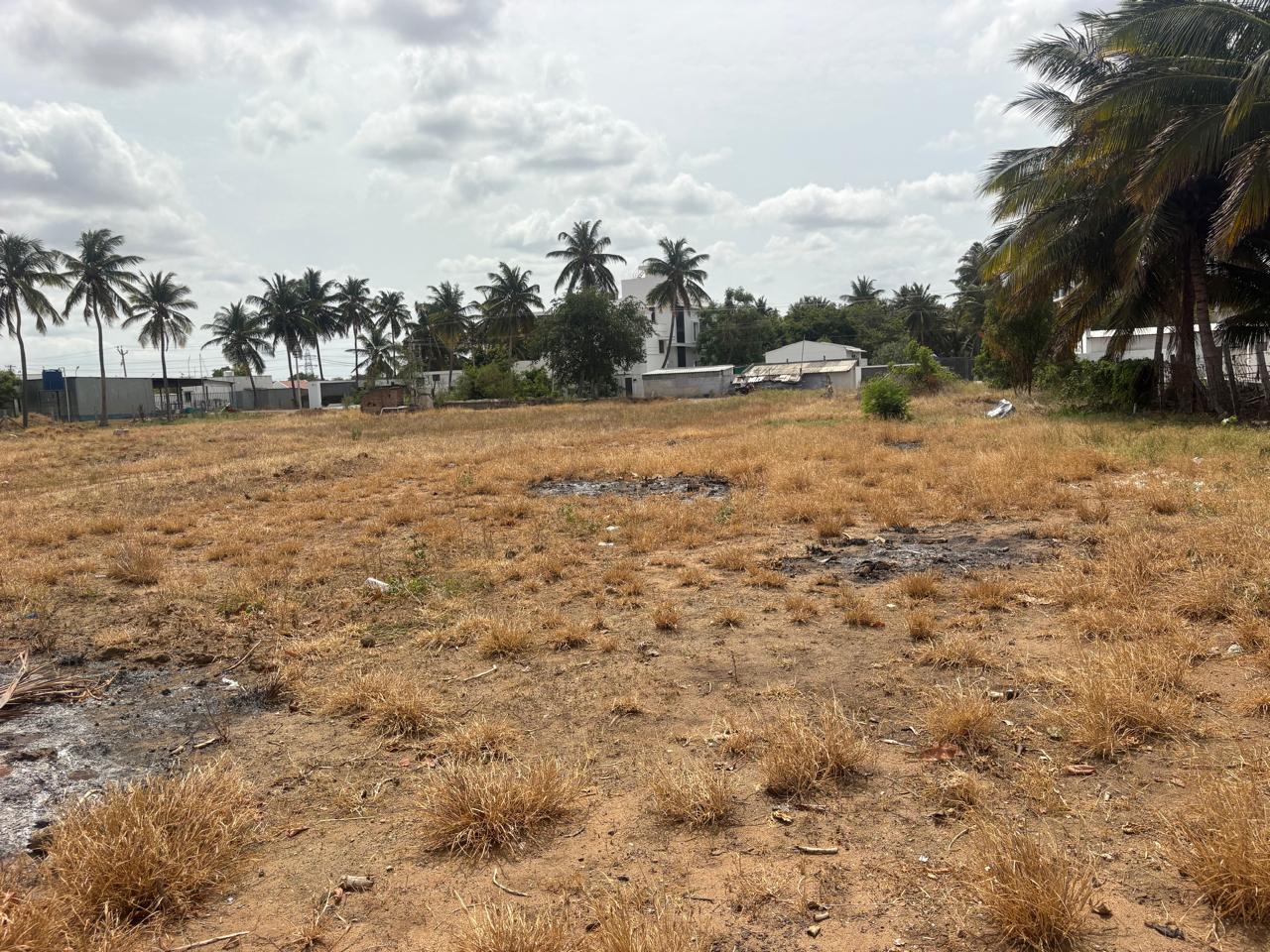 Plot for Sale in Kangeyam — photo 1