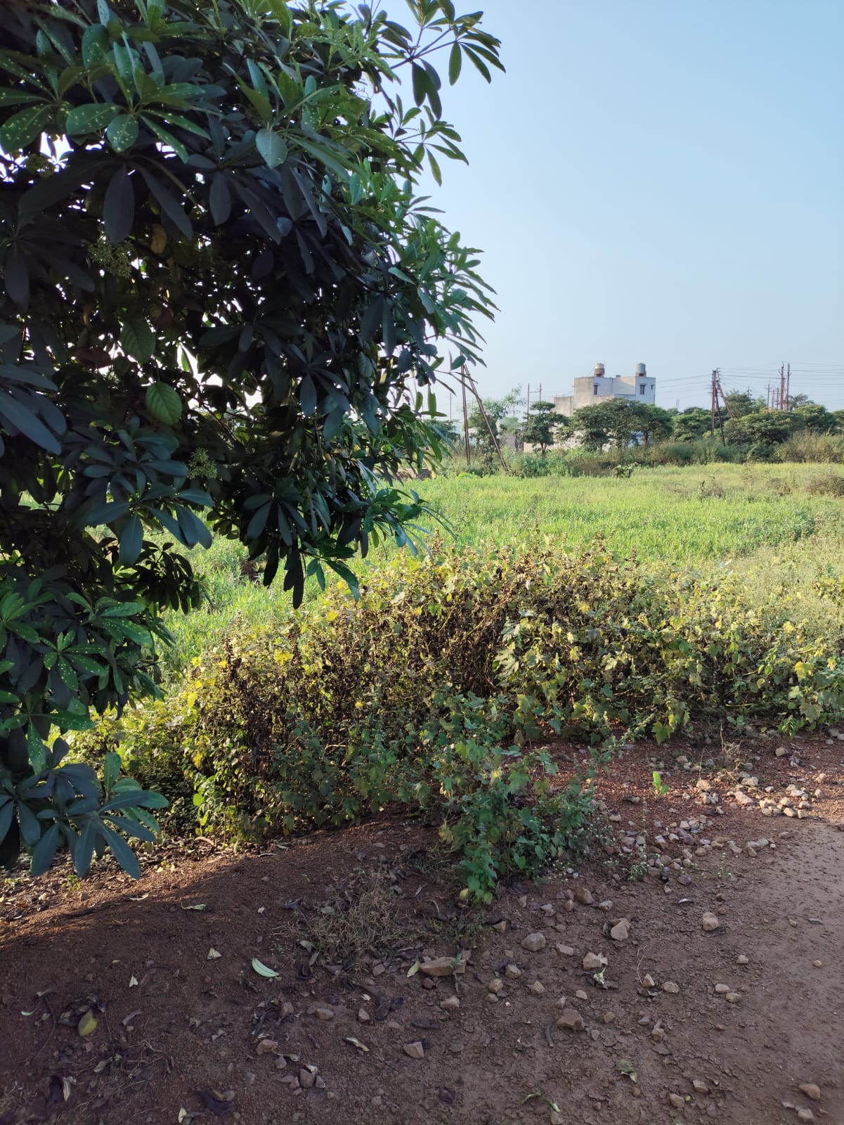 Plot for Sale in GK TOWNSHIP, G K Township, vill Siltara,RNM Dharsiva-1 Tehsil and Distt Raipur (C.G.), Raipur — photo 1