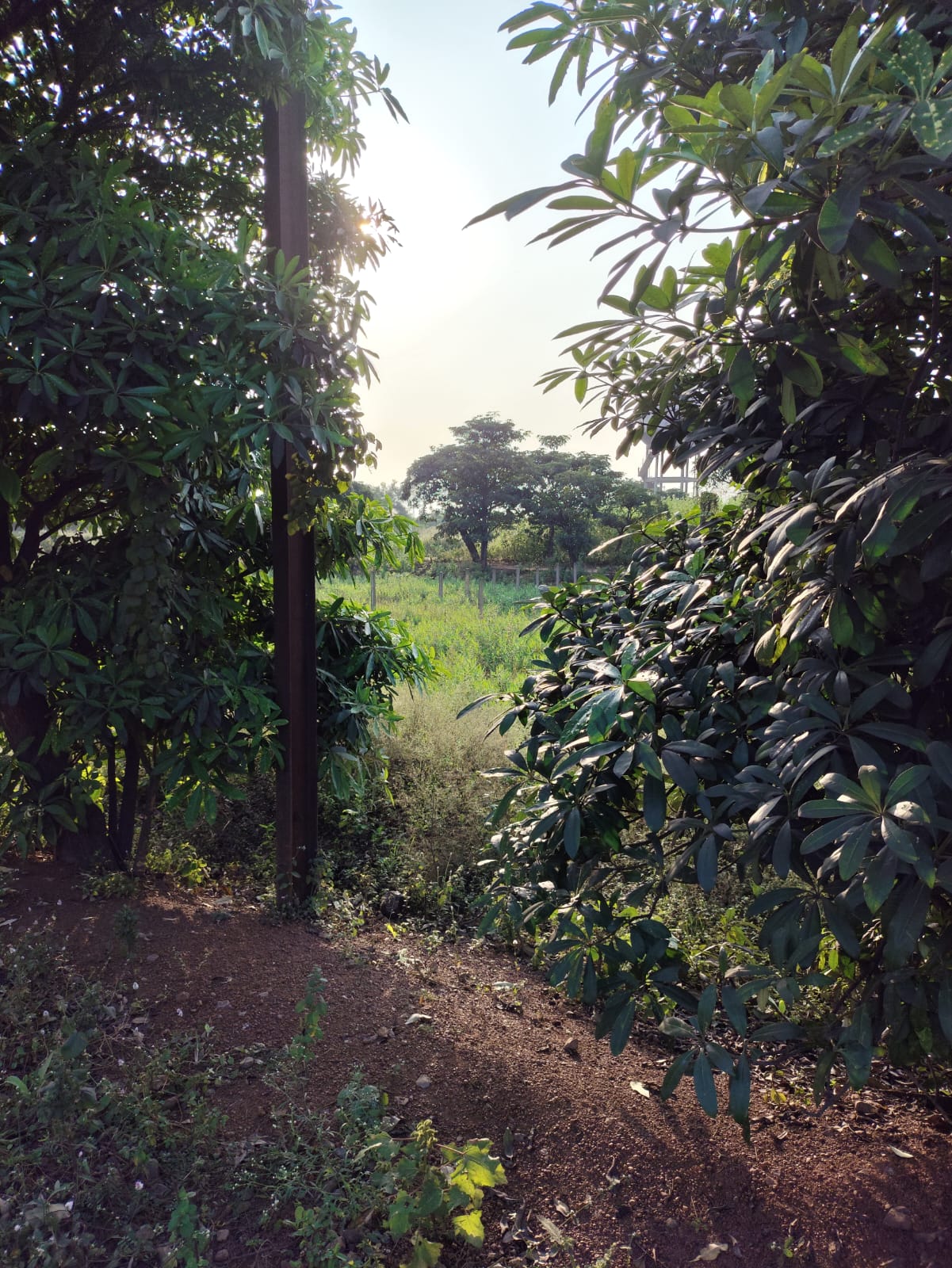 Plot for Sale in GK TOWNSHIP, G K Township, vill Siltara,RNM Dharsiva-1 Tehsil and Distt Raipur (C.G.), Raipur — photo 2