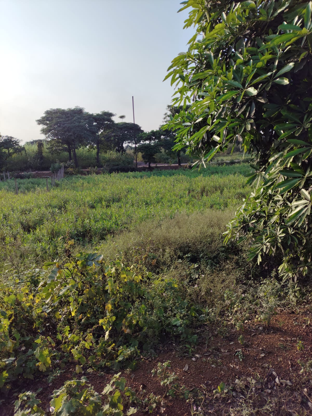 Plot for Sale in GK TOWNSHIP, G K Township, vill Siltara,RNM Dharsiva-1 Tehsil and Distt Raipur (C.G.), Raipur — photo 3