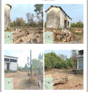 Open plot for Sale in Harur, Ajara — photo 1
