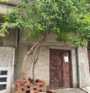 Individual House for Sale in Sanigawan, Kanpur — photo 1