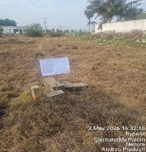 Plot for Sale in Nellore — photo 1