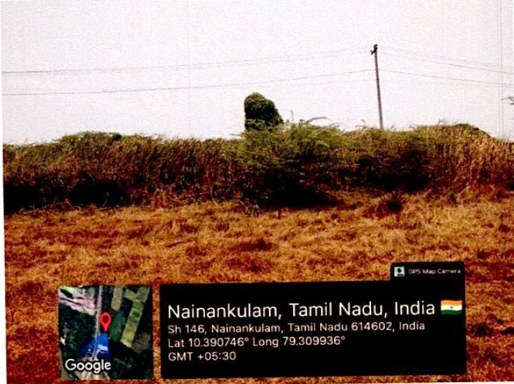 Plot for Sale in NAINAKULAM, Pattukkottai — photo 5