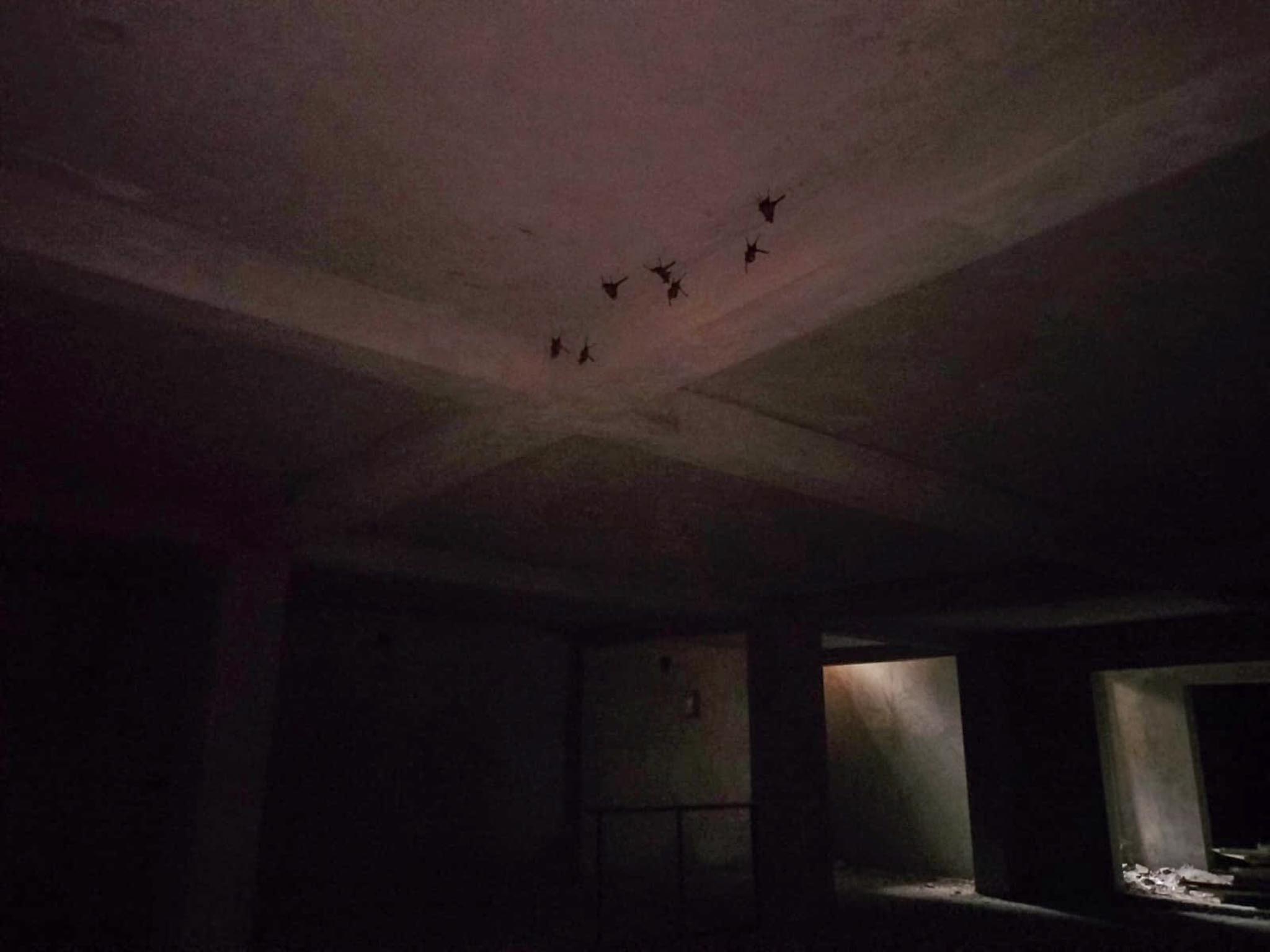 Flat for Sale in New Delhi — photo 2