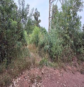 VACANT LAND for Sale in Chelora — photo 1