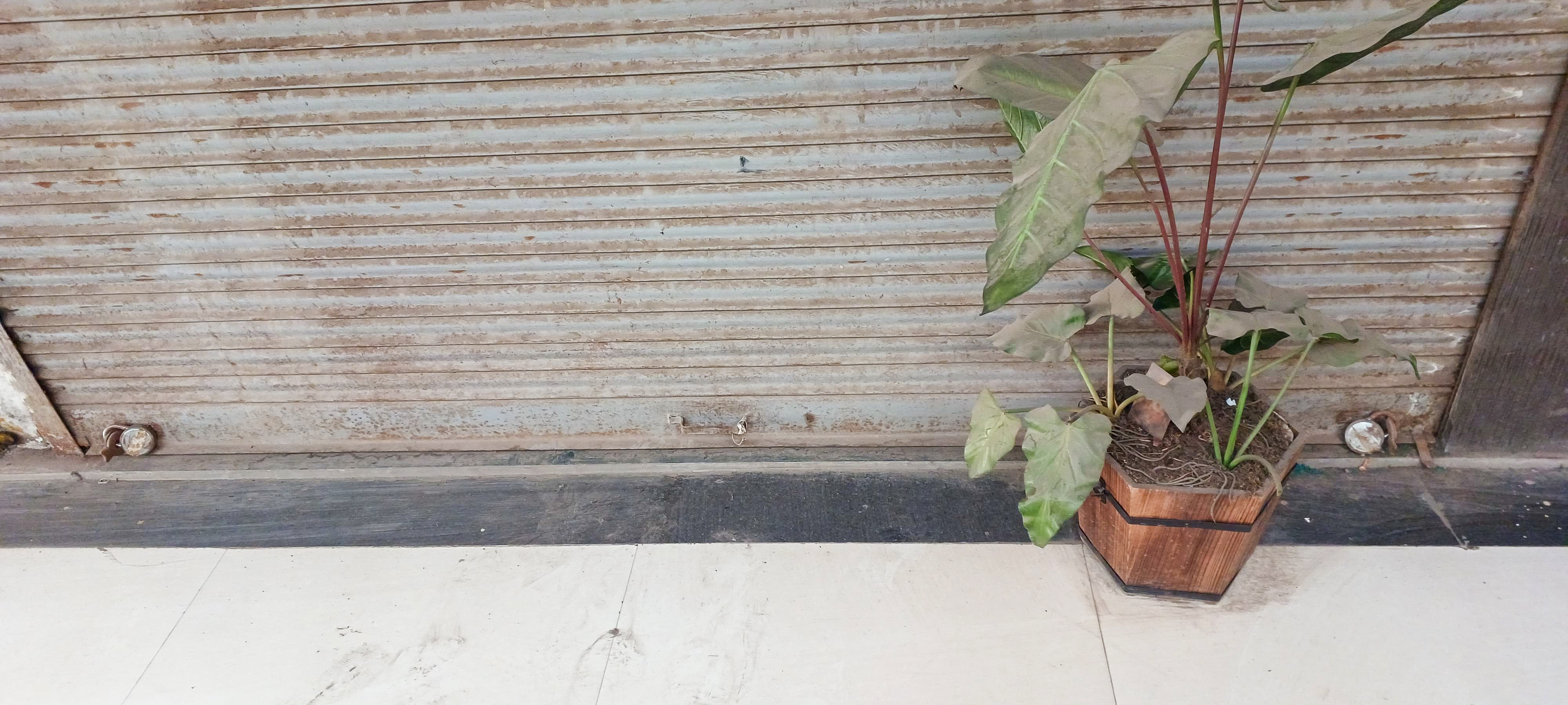 Shops for Sale in C-Sky Plaza, Gwalior — photo 12
