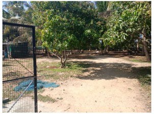 Plot for Sale in Adiyanuthu — photo 1