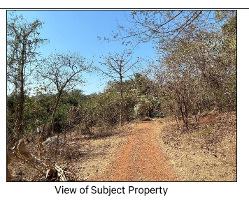 LAND for Sale in Bhayanderpada, Ghodbunder Road, Thane, Thane — photo 7