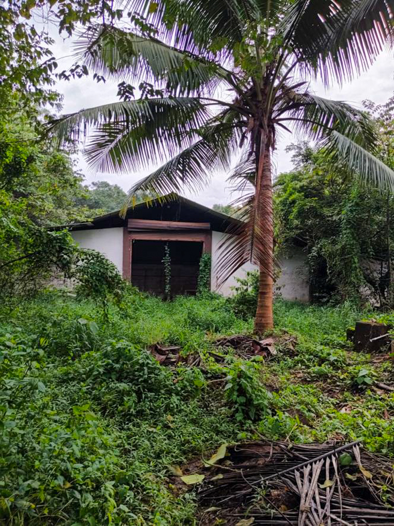 A Double Storied RCC Building and a Single storied AC Sheet Shed for Sale in Nilambur, Manjeri — photo 10