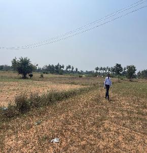 Plot for Sale in Peruvalayam Village, Panapakkam — photo 1