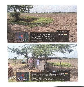 Agriculture Land for Sale in VILLAGE-LIMBALA, TALUKA- SAYLA, DIST-SURENDRANAGAR GUJARAT, Surendranagar — photo 1