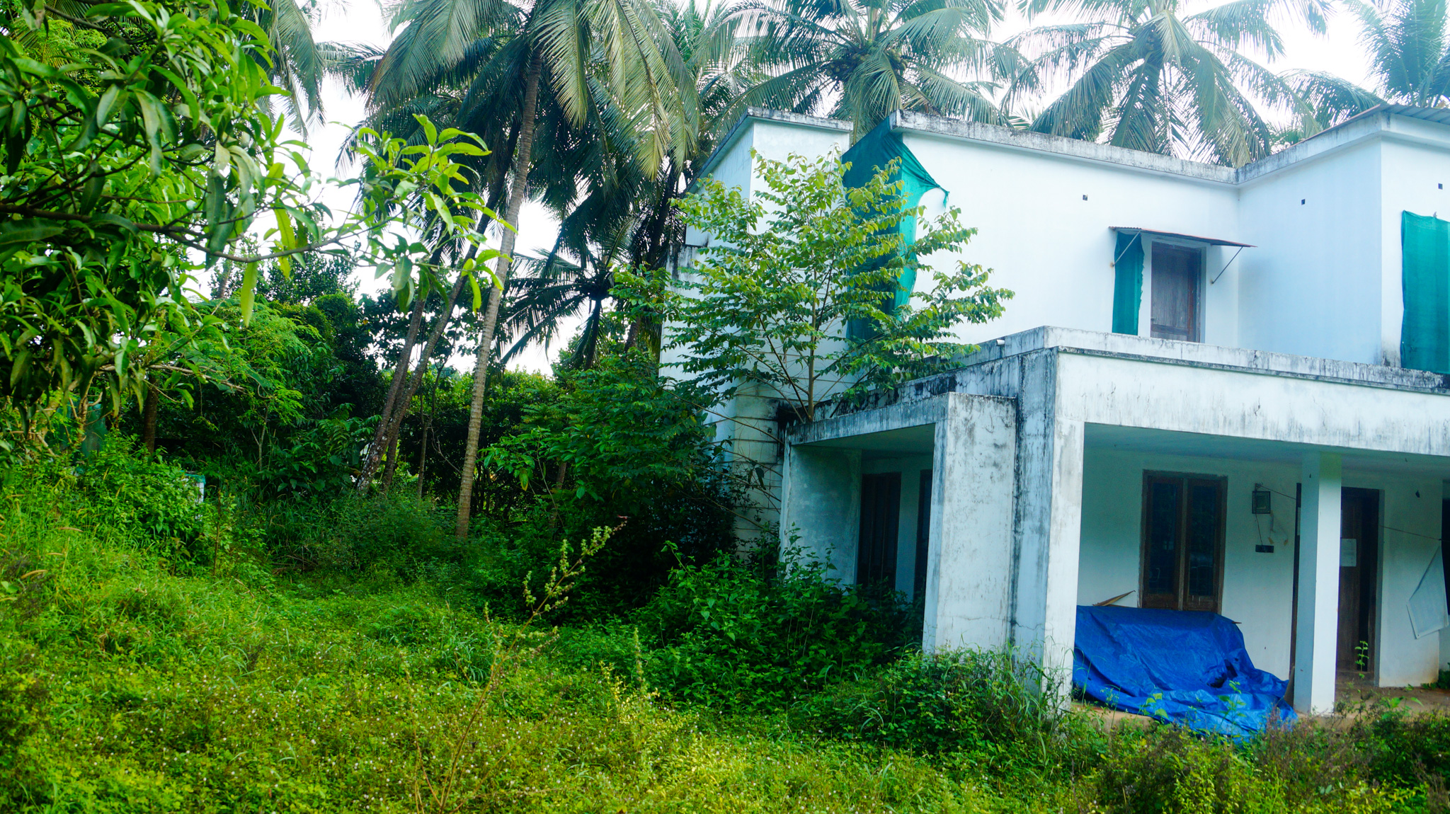 Individual House for Sale in Manakkody — photo 13