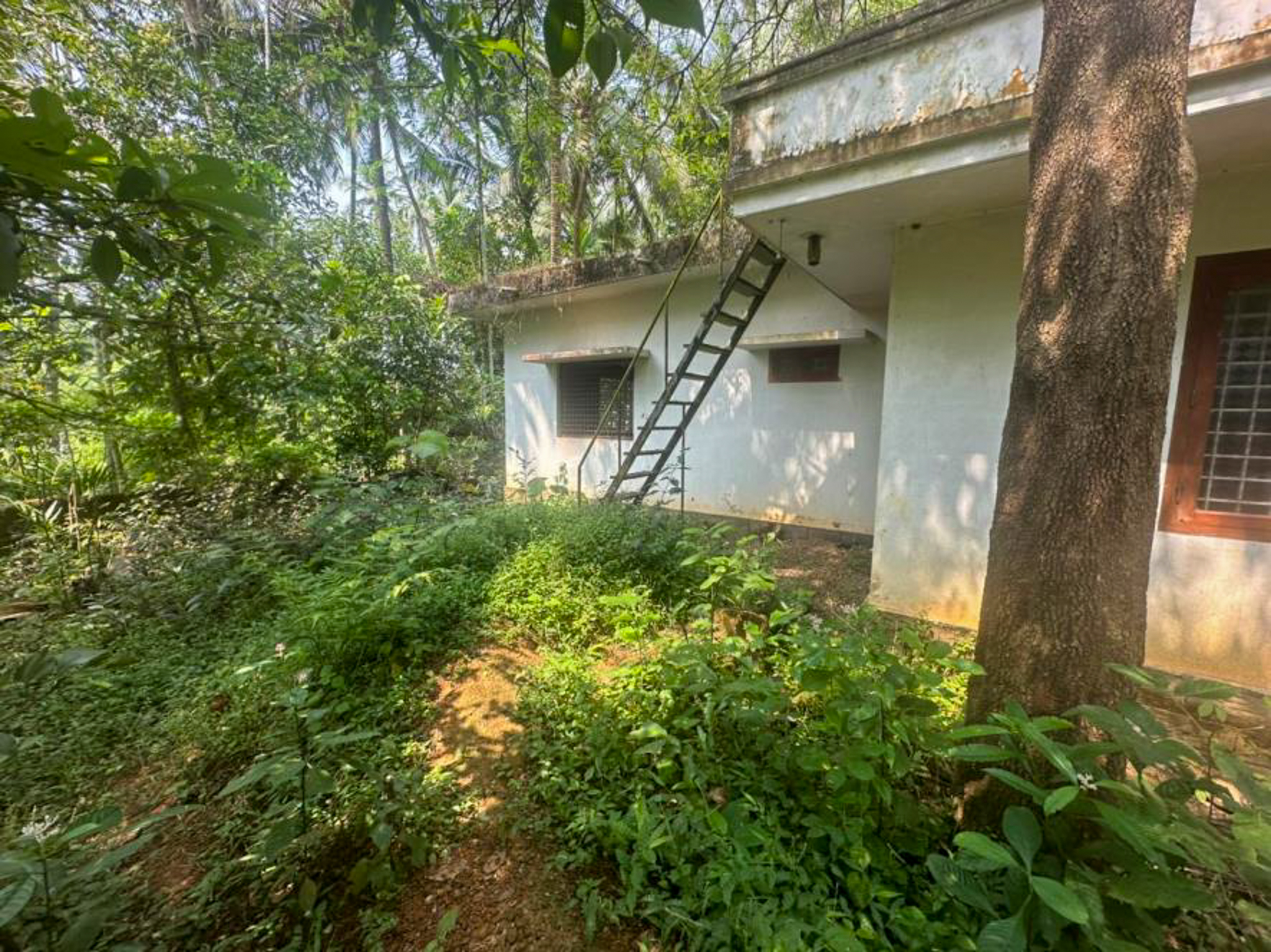 Individual House for Sale in Kozhikode — photo 4