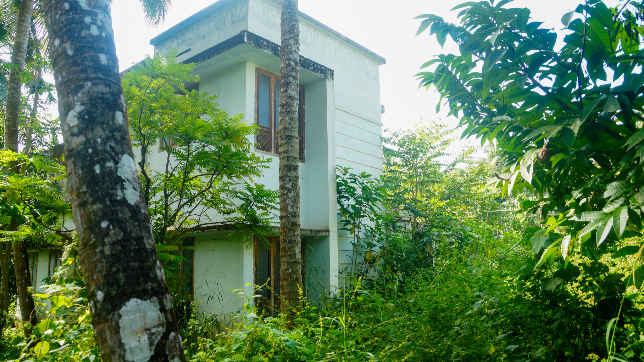 Individual House for Sale in Manakkody — photo 4