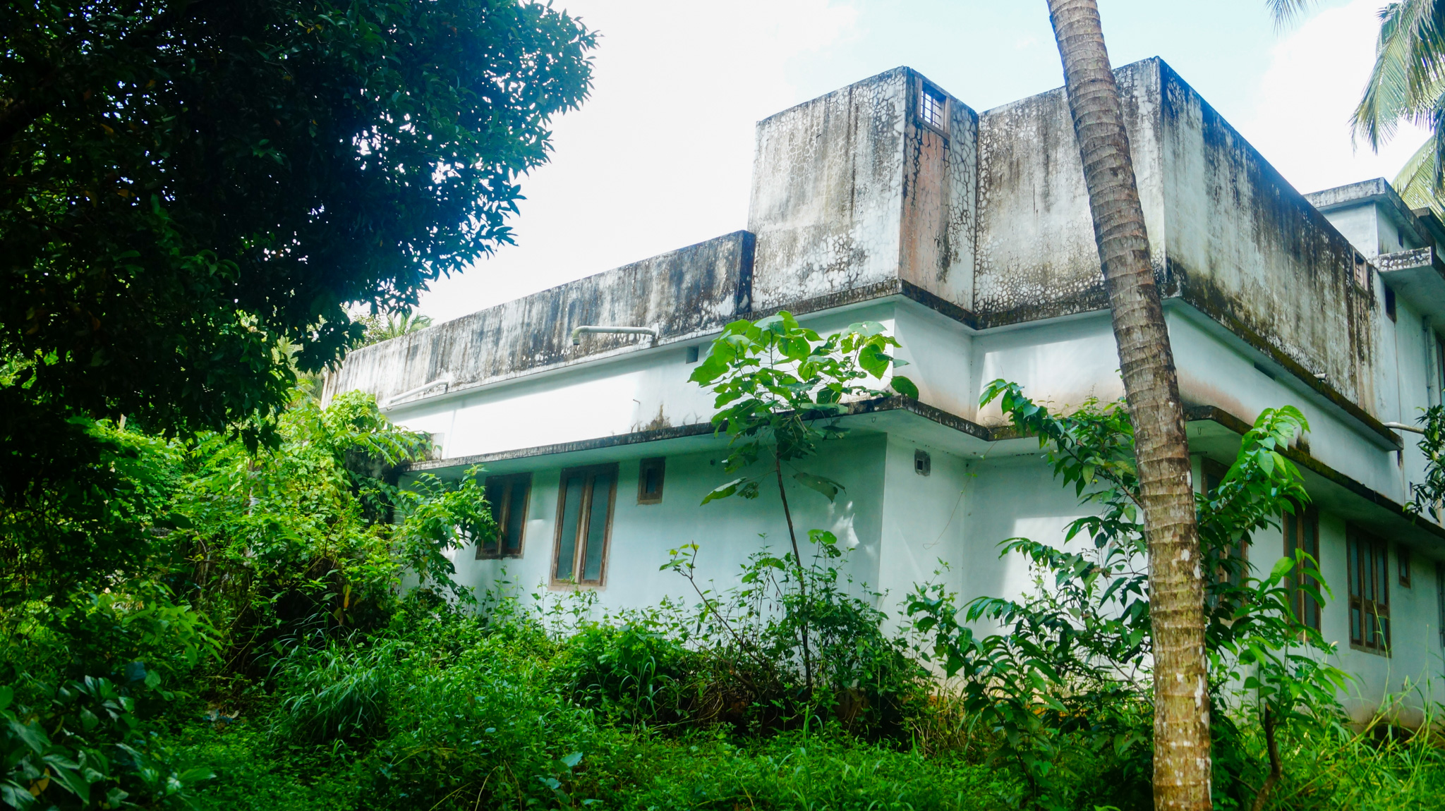 Individual House for Sale in Manakkody — photo 6