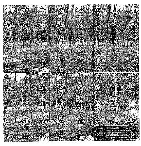 Plot for Sale in Thodupuzha — photo 1