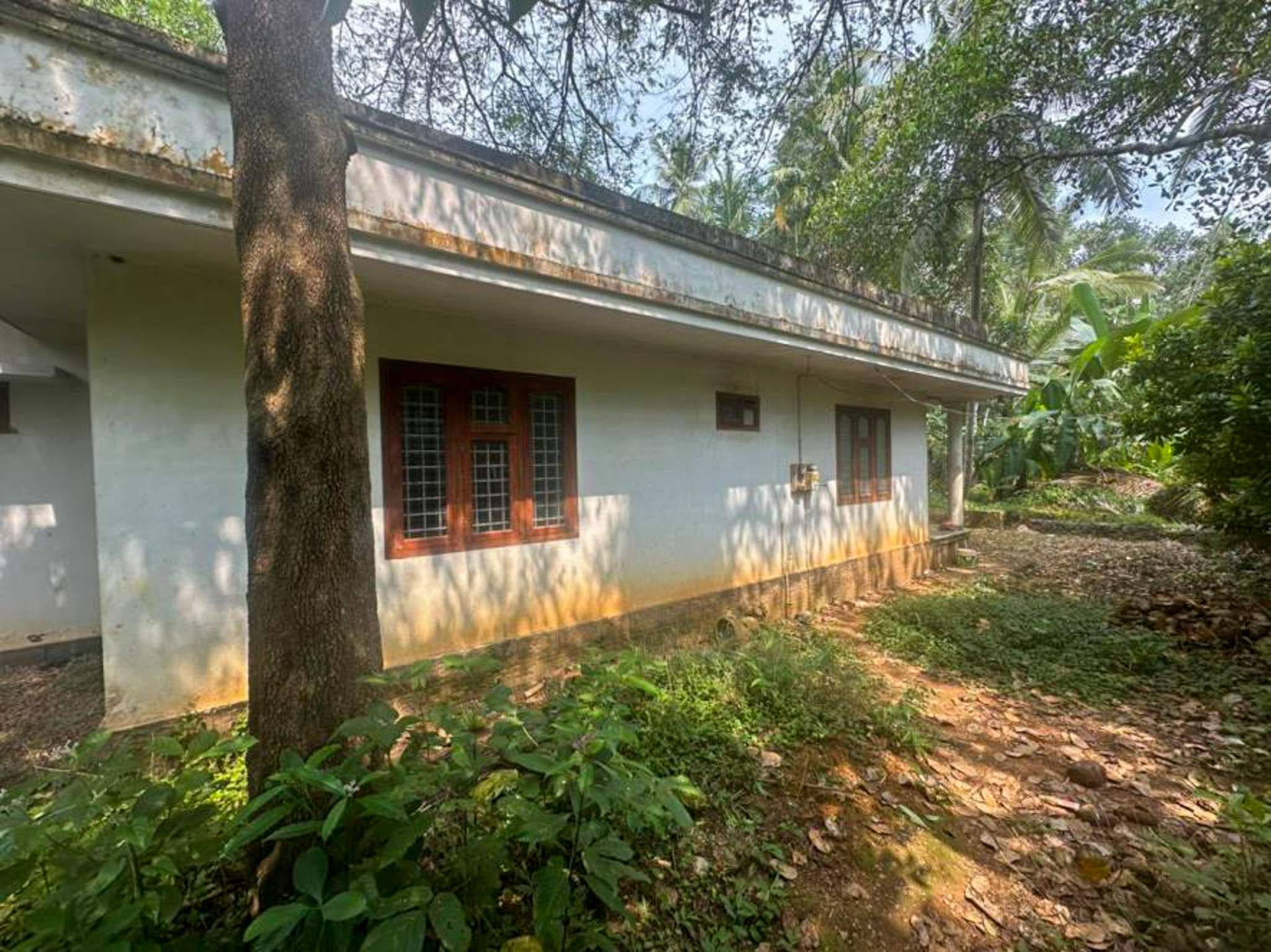 Individual House for Sale in Kozhikode — photo 10