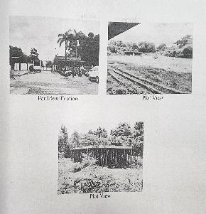 Plot for Sale in Bandora — photo 1