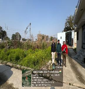 Individual House for Sale in A Residential Plot bearing Khasra no. 56 Situated at Adarsh Nagar Vill Tatarpur, Jalalabad Bijnor — photo 1