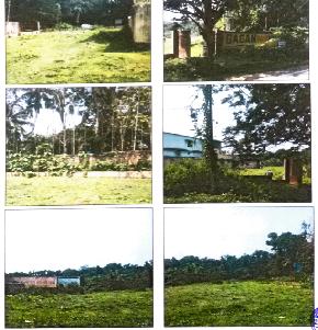 VACANT LAND for Sale in CHOTO JAGULIA, Joypul — photo 1