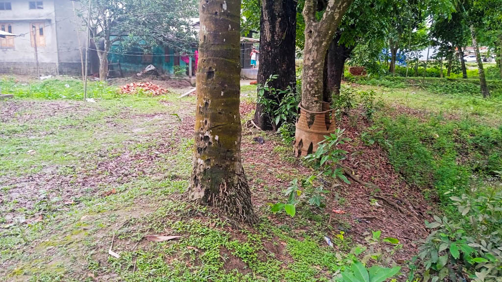 Plot for Sale in Land of Nandi Enterprise, Bagribari, Anand Nagar — photo 4