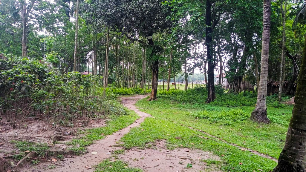 Plot for Sale in Land of Nandi Enterprise, Bagribari, Anand Nagar — photo 5