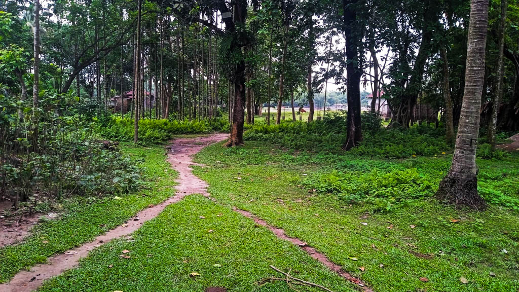 Plot for Sale in Land of Nandi Enterprise, Bagribari, Anand Nagar — photo 10