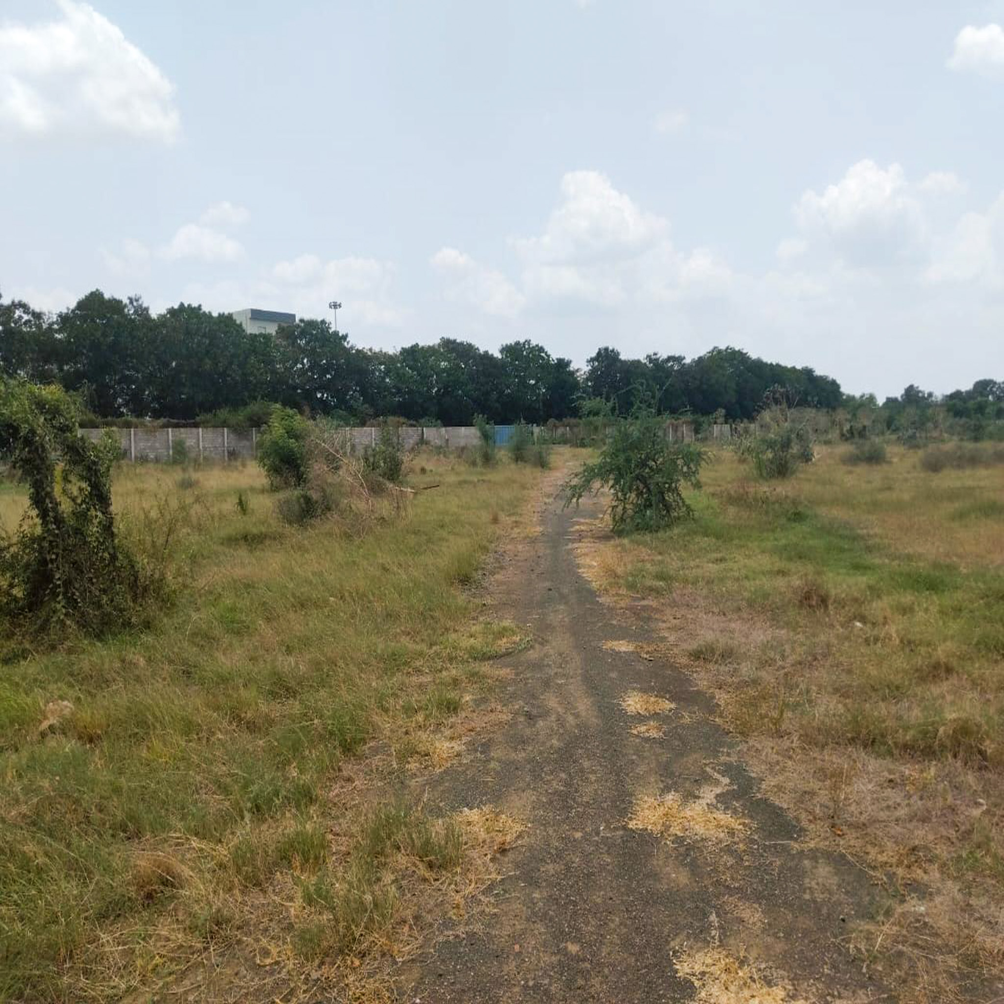 Industrial Land and Building for Sale in Dudhwada-Karakhadi Road, Village Dudhwada, Sub-District Padra, District Vadodara, Vadodara — photo 3