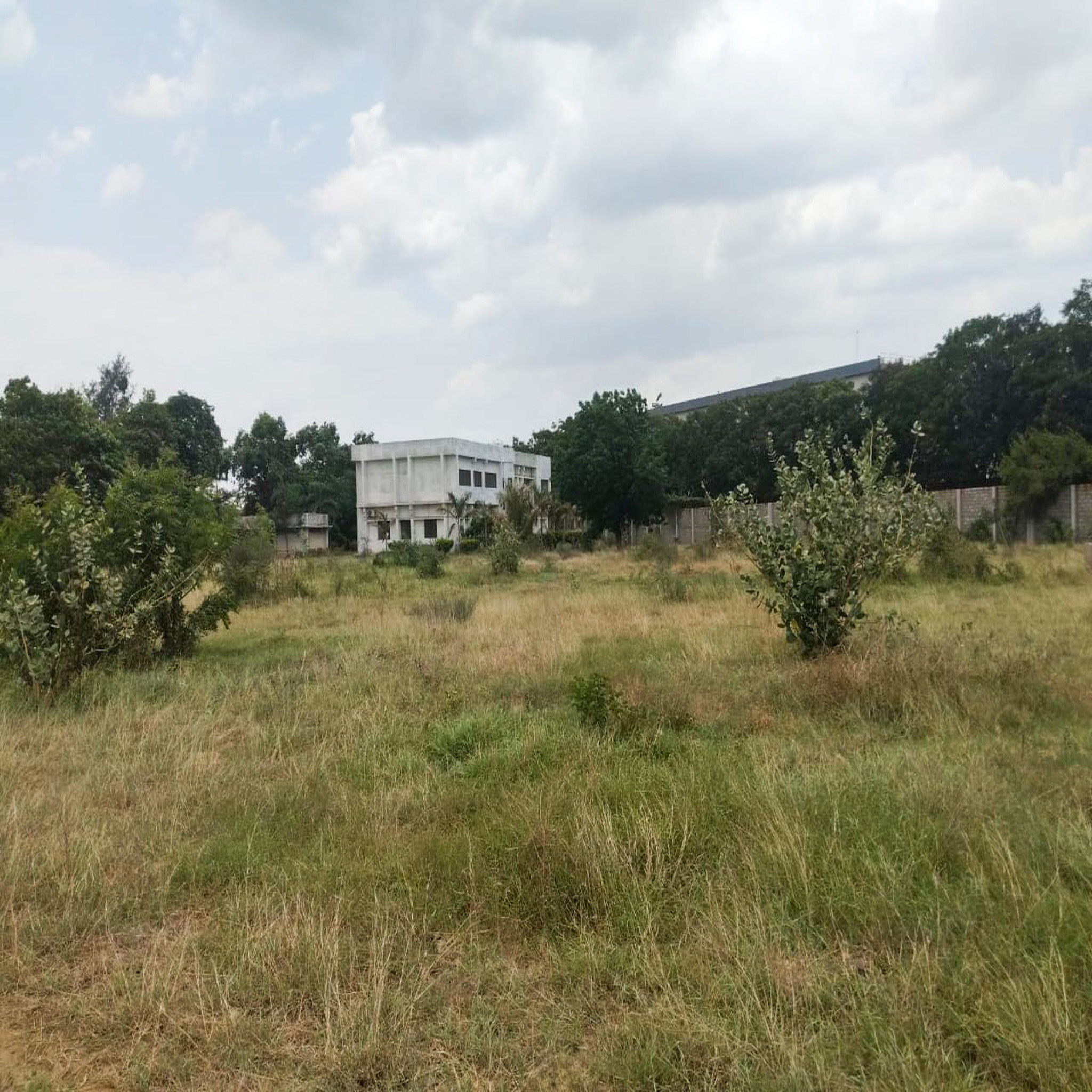 Industrial Land and Building for Sale in Dudhwada-Karakhadi Road, Village Dudhwada, Sub-District Padra, District Vadodara, Vadodara — photo 4