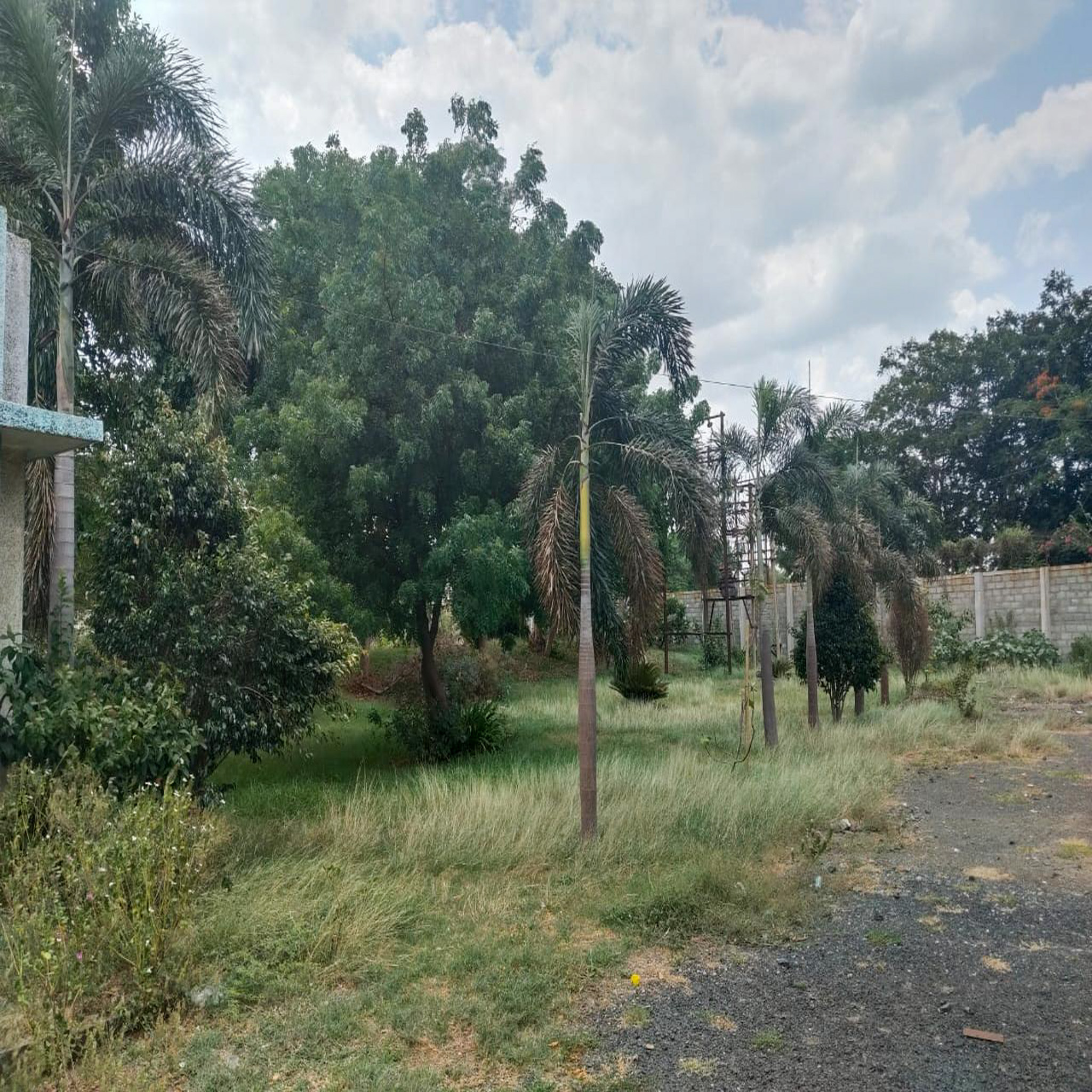 Industrial Land and Building for Sale in Dudhwada-Karakhadi Road, Village Dudhwada, Sub-District Padra, District Vadodara, Vadodara — photo 5