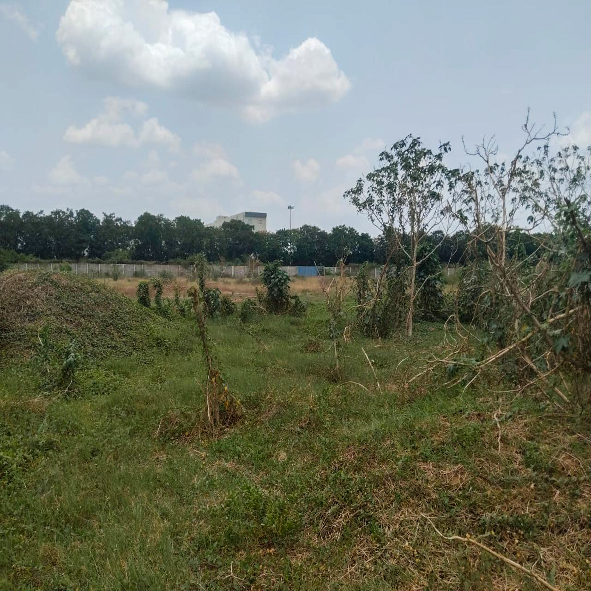 Industrial Land and Building for Sale in Dudhwada-Karakhadi Road, Village Dudhwada, Sub-District Padra, District Vadodara, Vadodara — photo 13