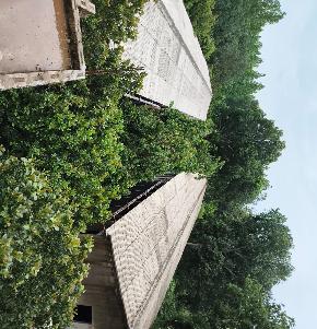 Plot for Sale in UNIQUE AGRO, CHHENDIPADA, JSPL Town Anugul Township — photo 1