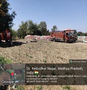 Plot for Sale in Pithampur — photo 1