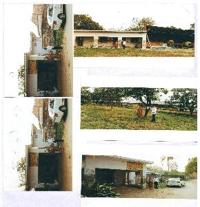 Plot for Sale in Raebareli — photo 1