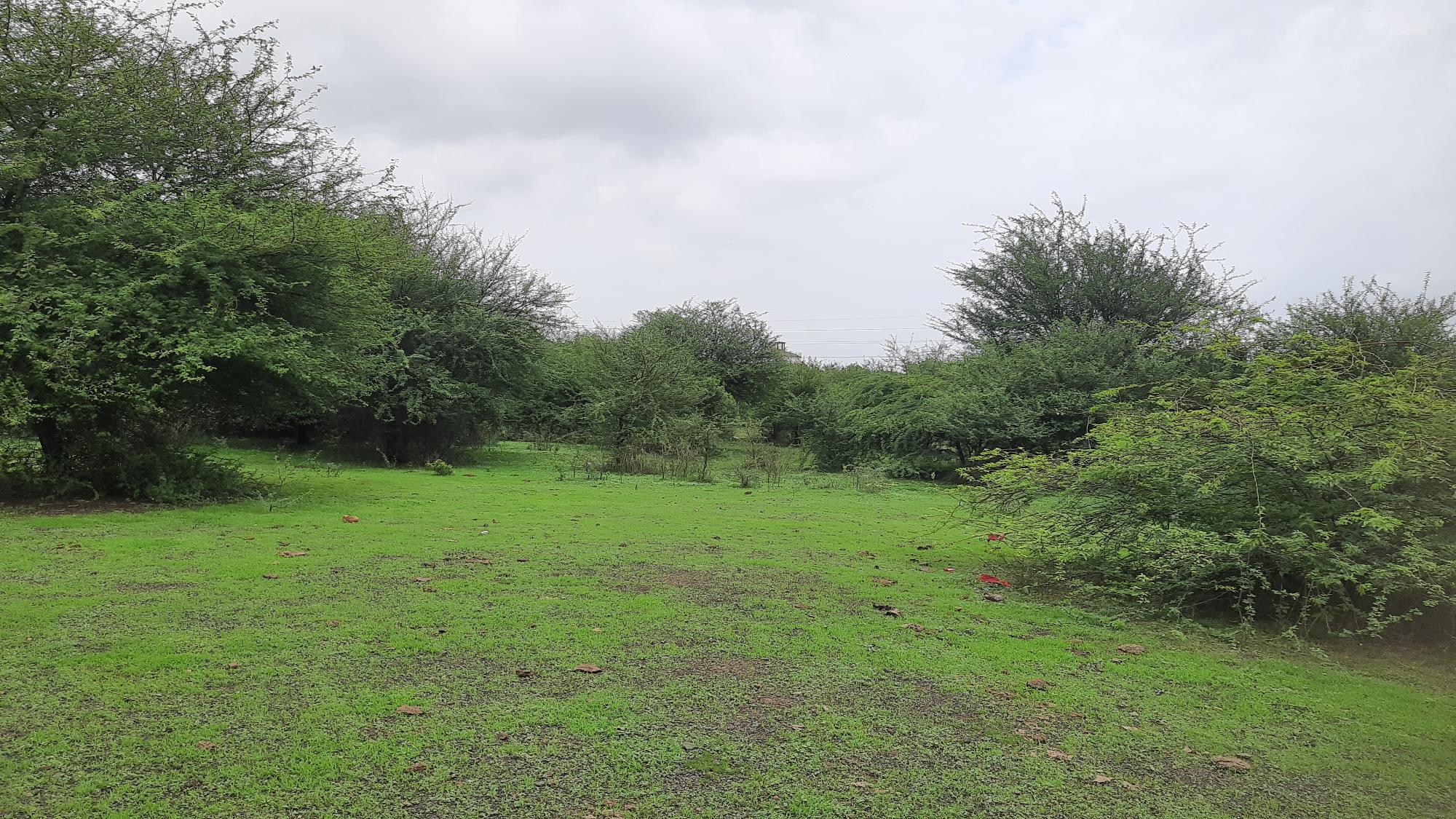 Agriculture Land for Sale in Survey No. 74, New Survey number-45, opp. K.K. Farm, Vajdi-Vad Chopat Lodhika, Lodhika GIDC — photo 2