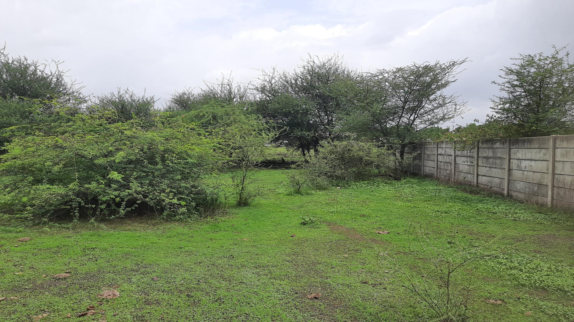 Agriculture Land for Sale in Survey No. 74, New Survey number-45, opp. K.K. Farm, Vajdi-Vad Chopat Lodhika, Lodhika GIDC — photo 3