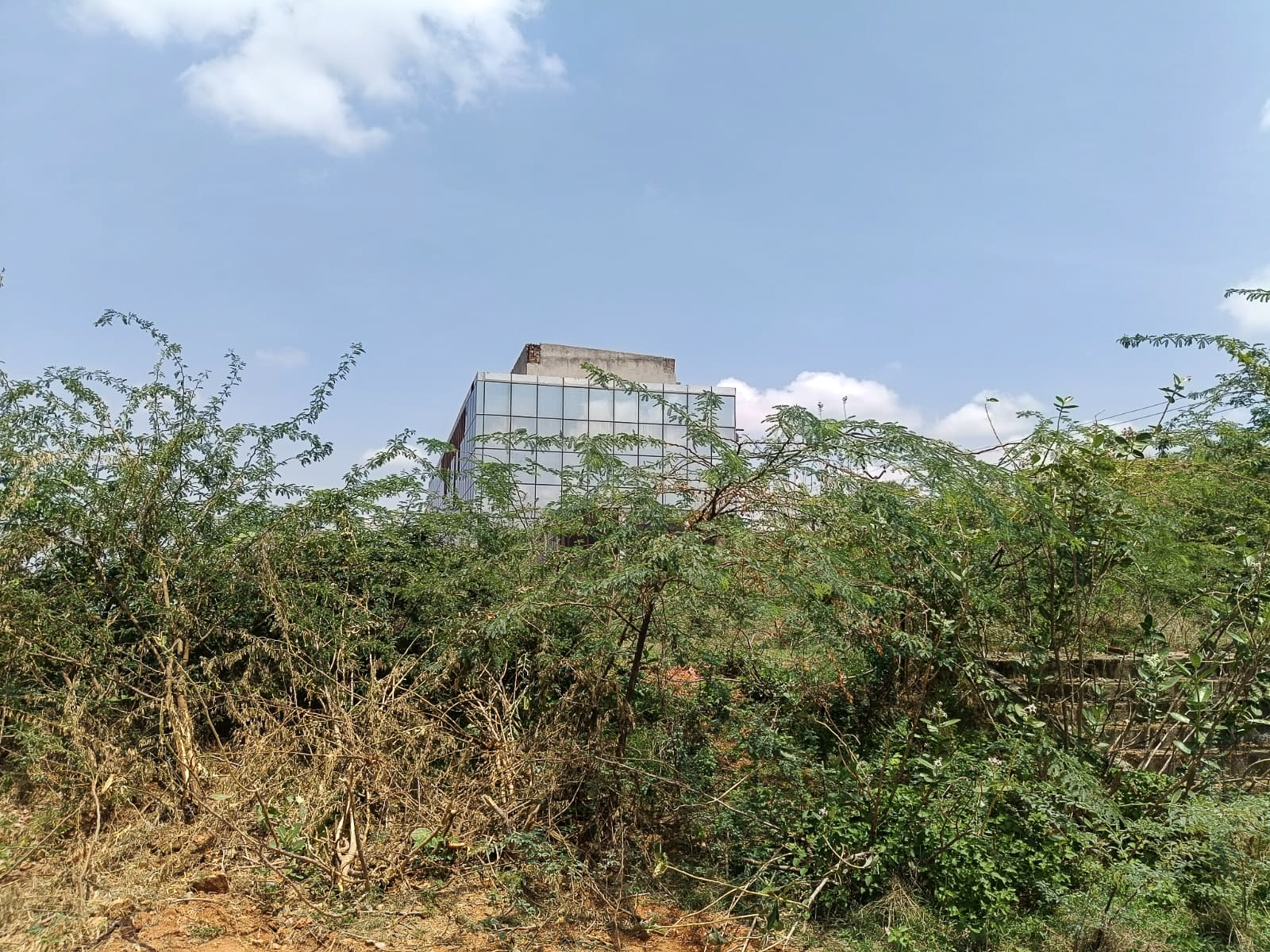 Industrial Plot with Factory Building for Sale in Industrial Park Penukonda Village Penukonda District Anantapuramu Pin 515110 Andhra Pradesh, PENUKONDA — photo 4