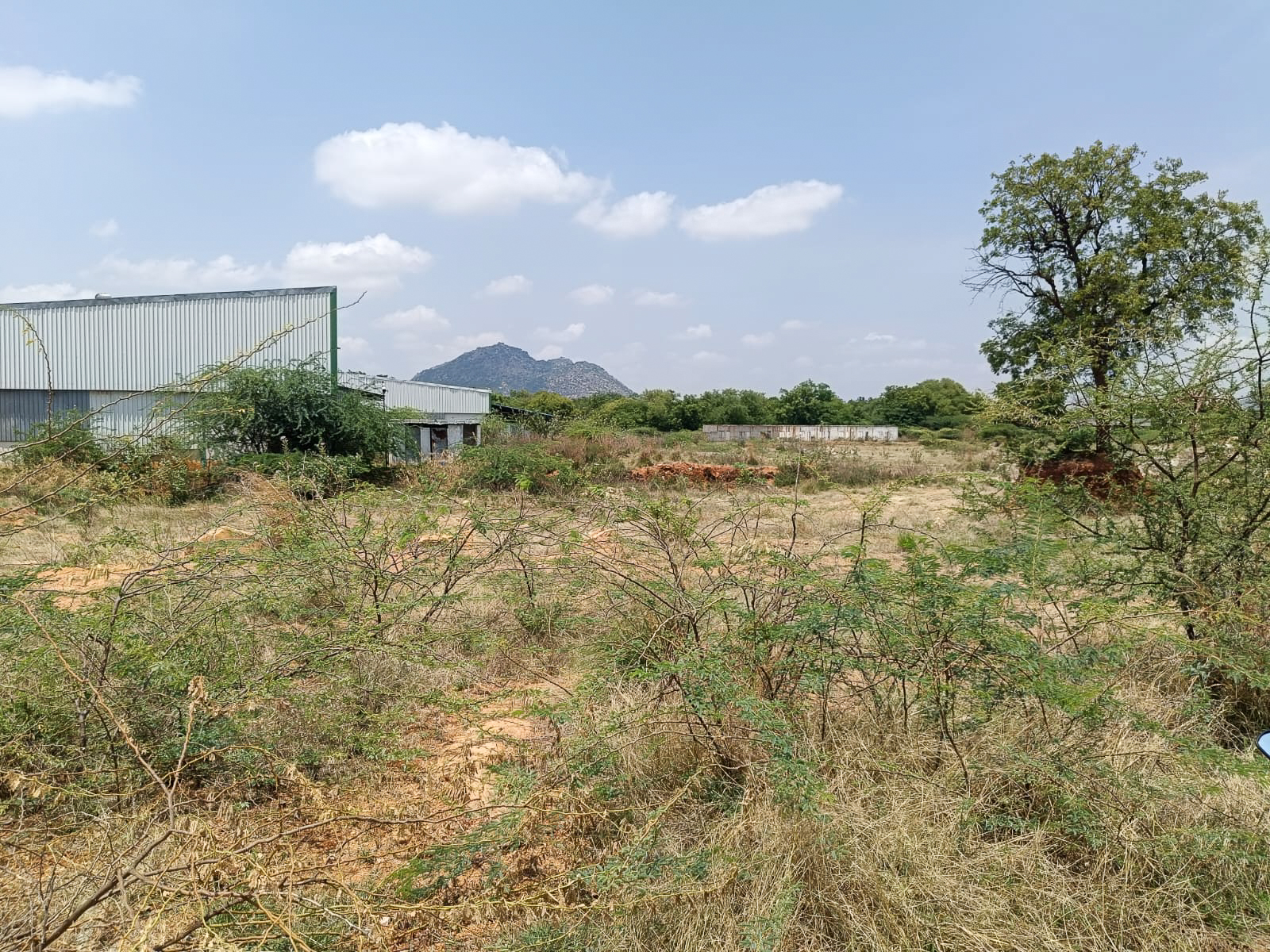 Industrial Plot with Factory Building for Sale in Industrial Park Penukonda Village Penukonda District Anantapuramu Pin 515110 Andhra Pradesh, PENUKONDA — photo 15