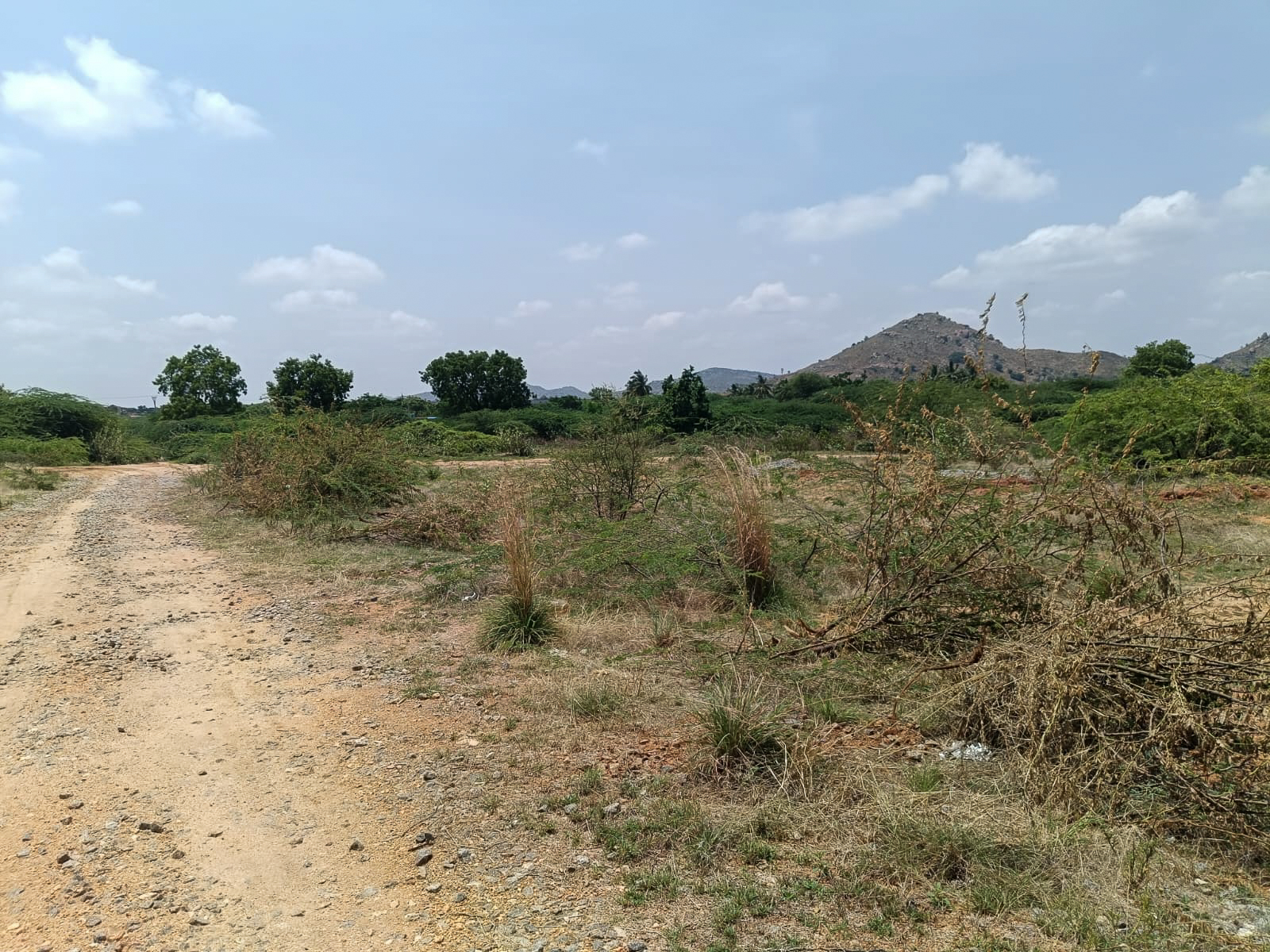 Industrial Plot with Factory Building for Sale in Industrial Park Penukonda Village Penukonda District Anantapuramu Pin 515110 Andhra Pradesh, PENUKONDA — photo 16